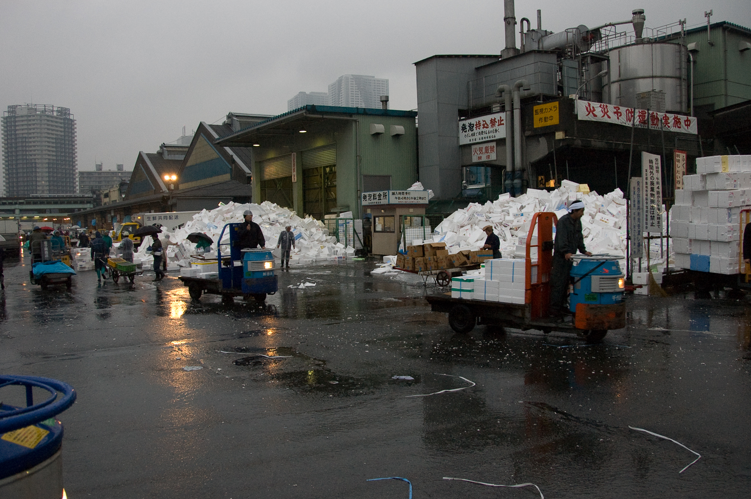 DSC_8833.jpg